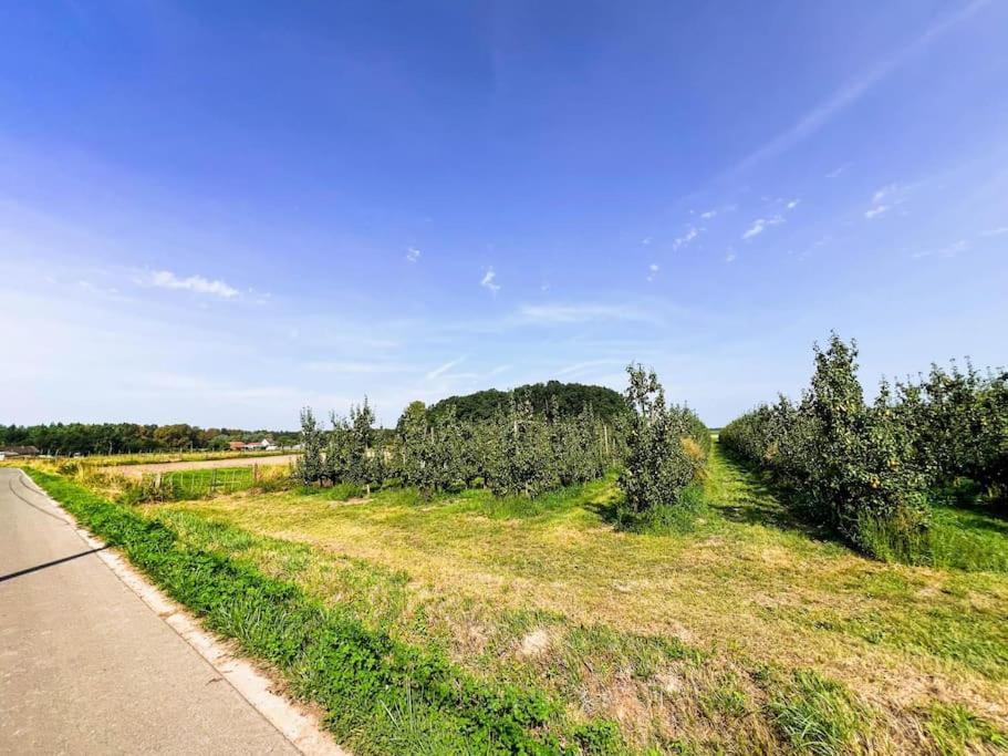 Modern Loft With 2 Bedrooms Near Sint Truiden Appartamento